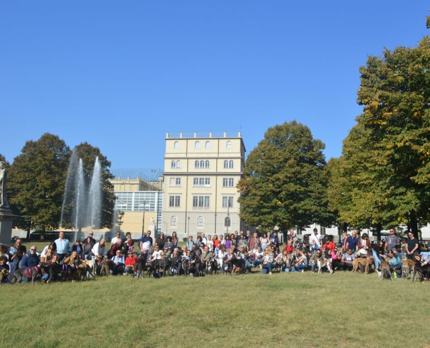 DSC_0003b